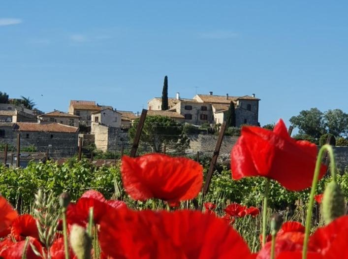 La Vivienda Bed and Breakfast Lecques Esterno foto